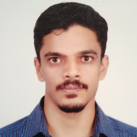 Dr. P. N. Bala Subramanian